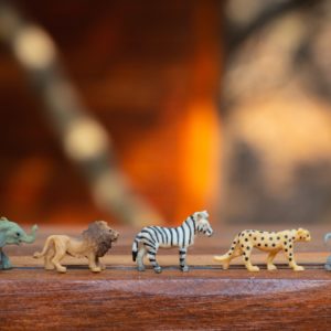 Spielplatz – Familien in freier Wildbahn