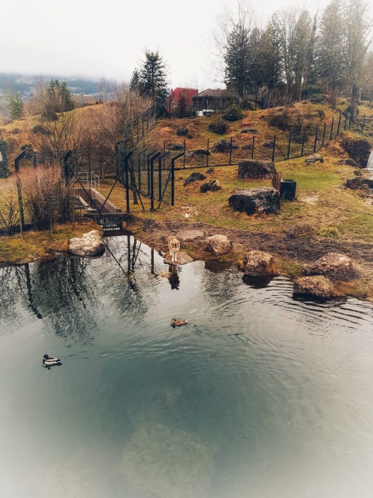 Viele Aktivitäten warten im Tierpark Goldau auf die ganze Familie.