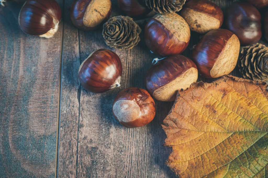 Marroni gehören zum Herbst dazu wie die farbigen Blätter. Mit diesem Rezept bringst du sie in deine Küche.